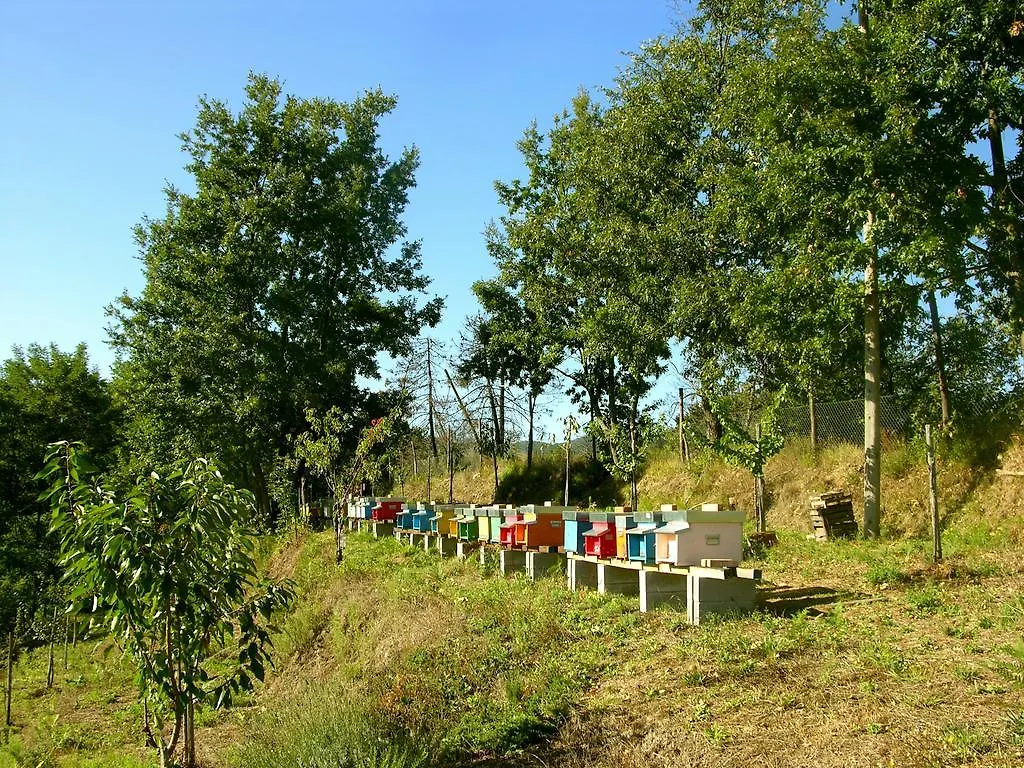Agriturismo Angiò nel Cerè Bracelli 0*,