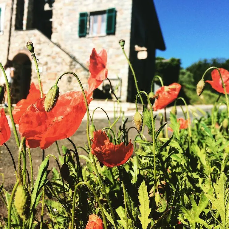 Panzió Agriturismo Angio Nel Cere Bracelli