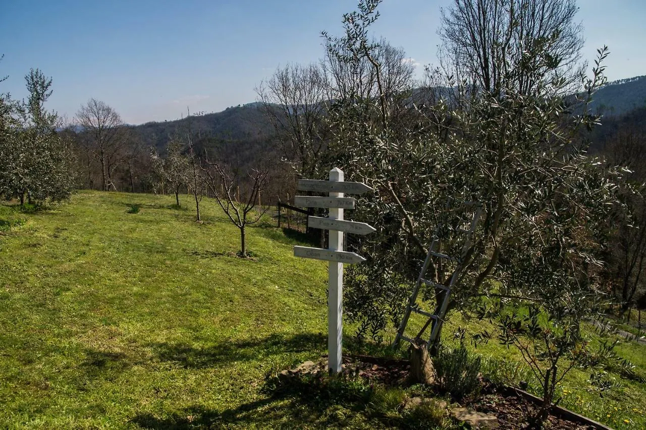 Agriturismo Angio Nel Cere Bracelli Panzió